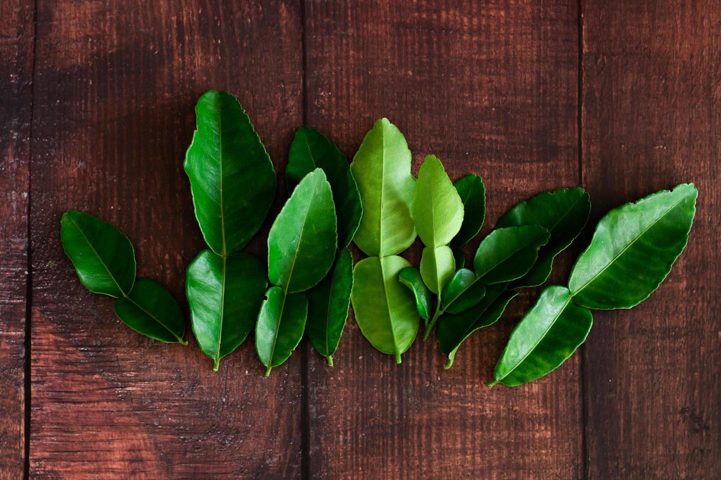 foglie di lime kaffir verde fresco foto