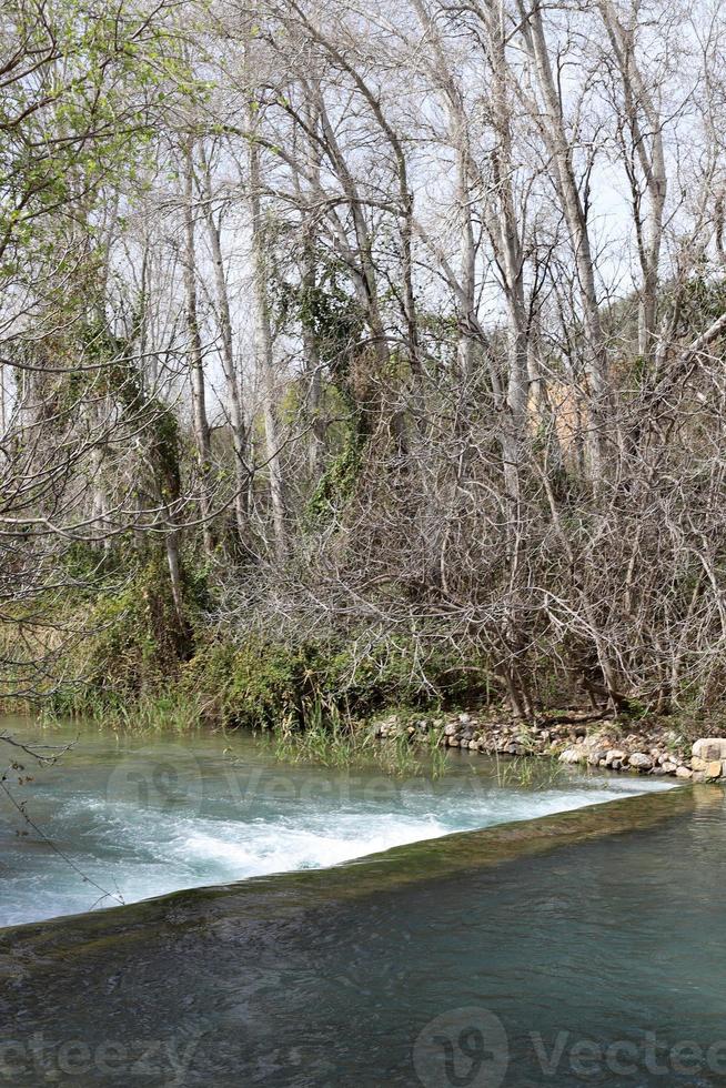 vegetazione su il banche di un' fiume nel settentrionale Israele foto