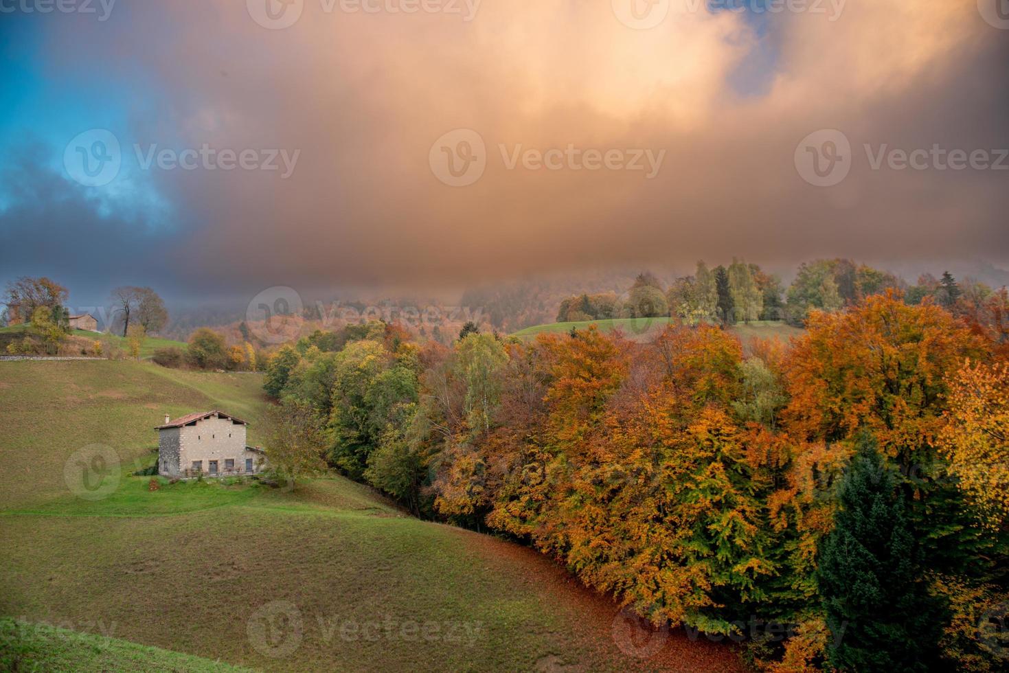 collina con alberi foto