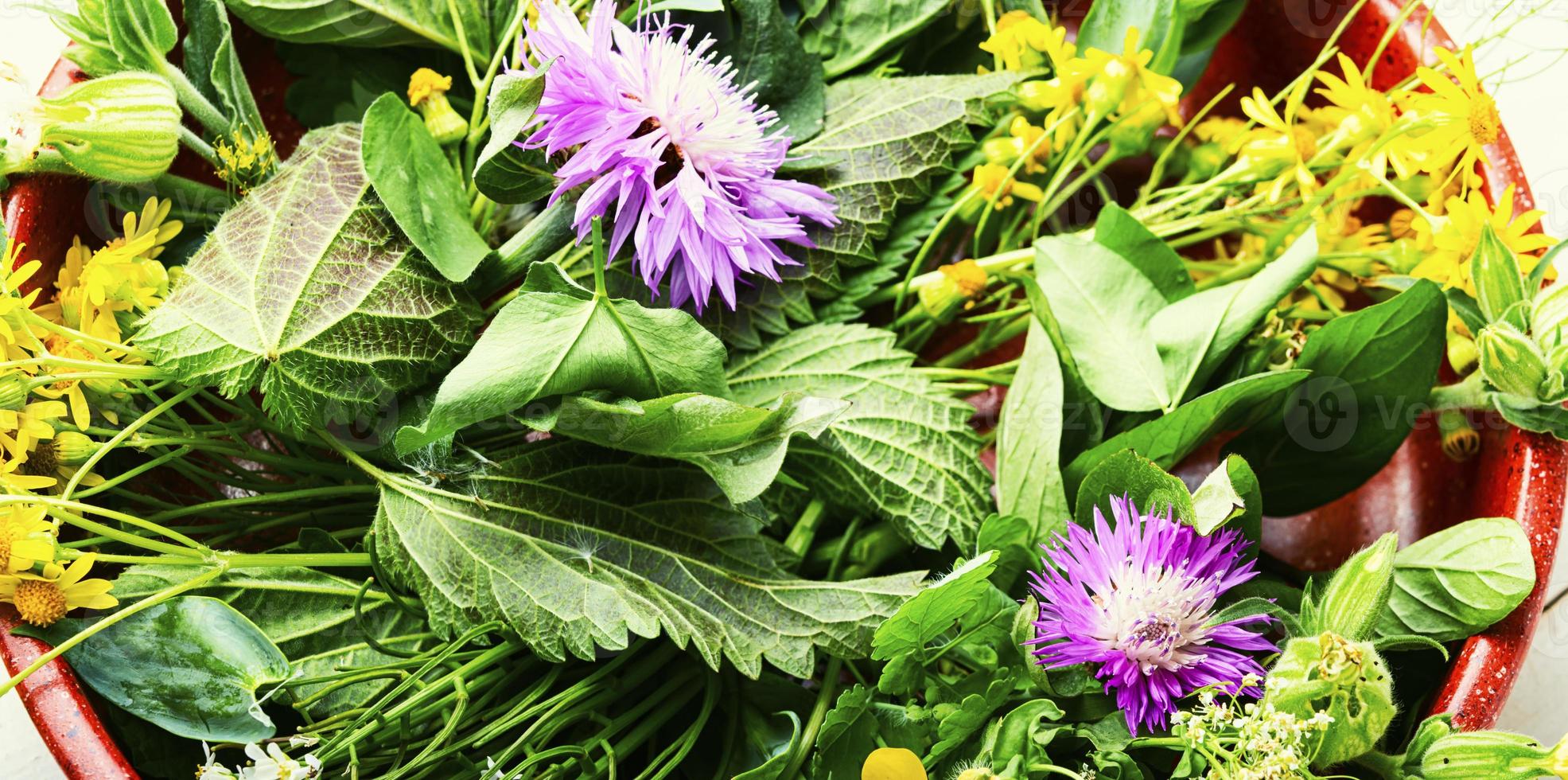 naturale medicina, fresco erbe aromatiche foto