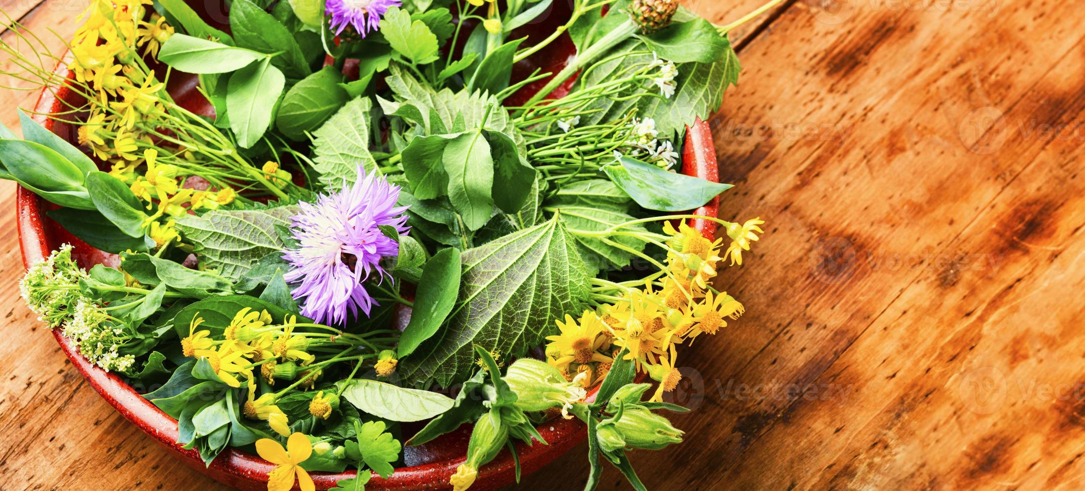 naturale medicina, fresco piante, guarigione erbe aromatiche foto