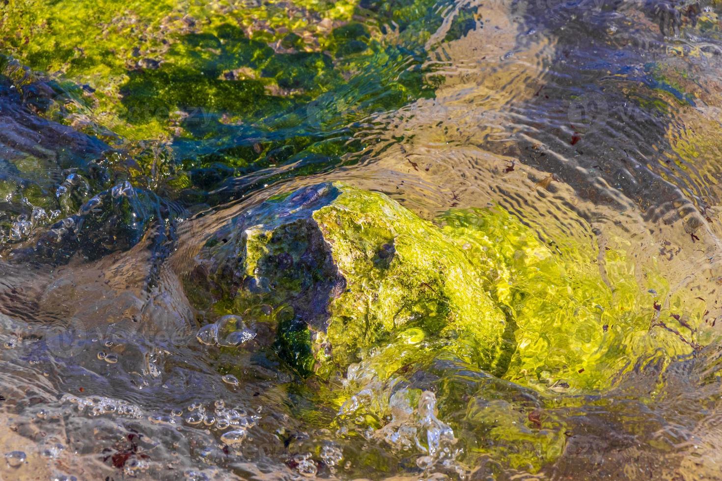 pietre rocce coralli turchese verde blu acqua su spiaggia Messico. foto