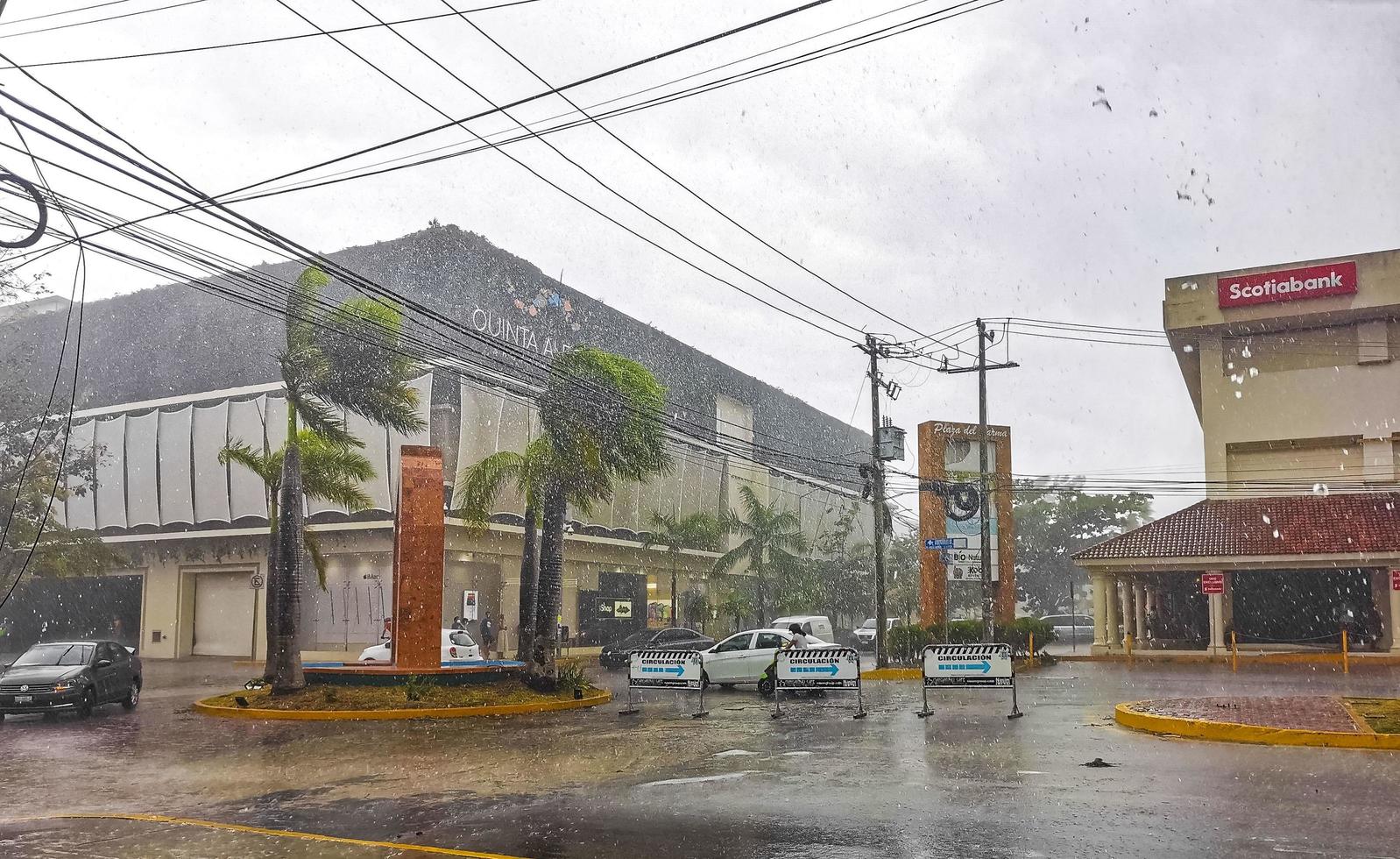 playa del Carmen quintana roo Messico 2021 uragano 2021 playa del Carmen Messico distruzione devastazione rotto alberi. foto