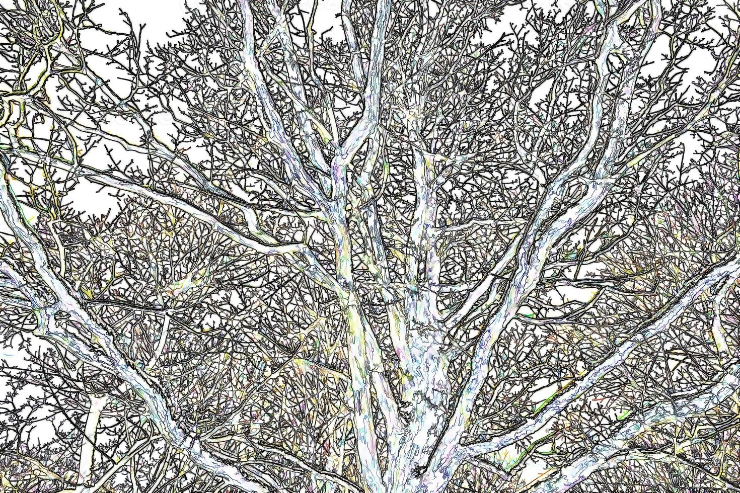 illustrazione digitale alberi astratti rami sfondo foto