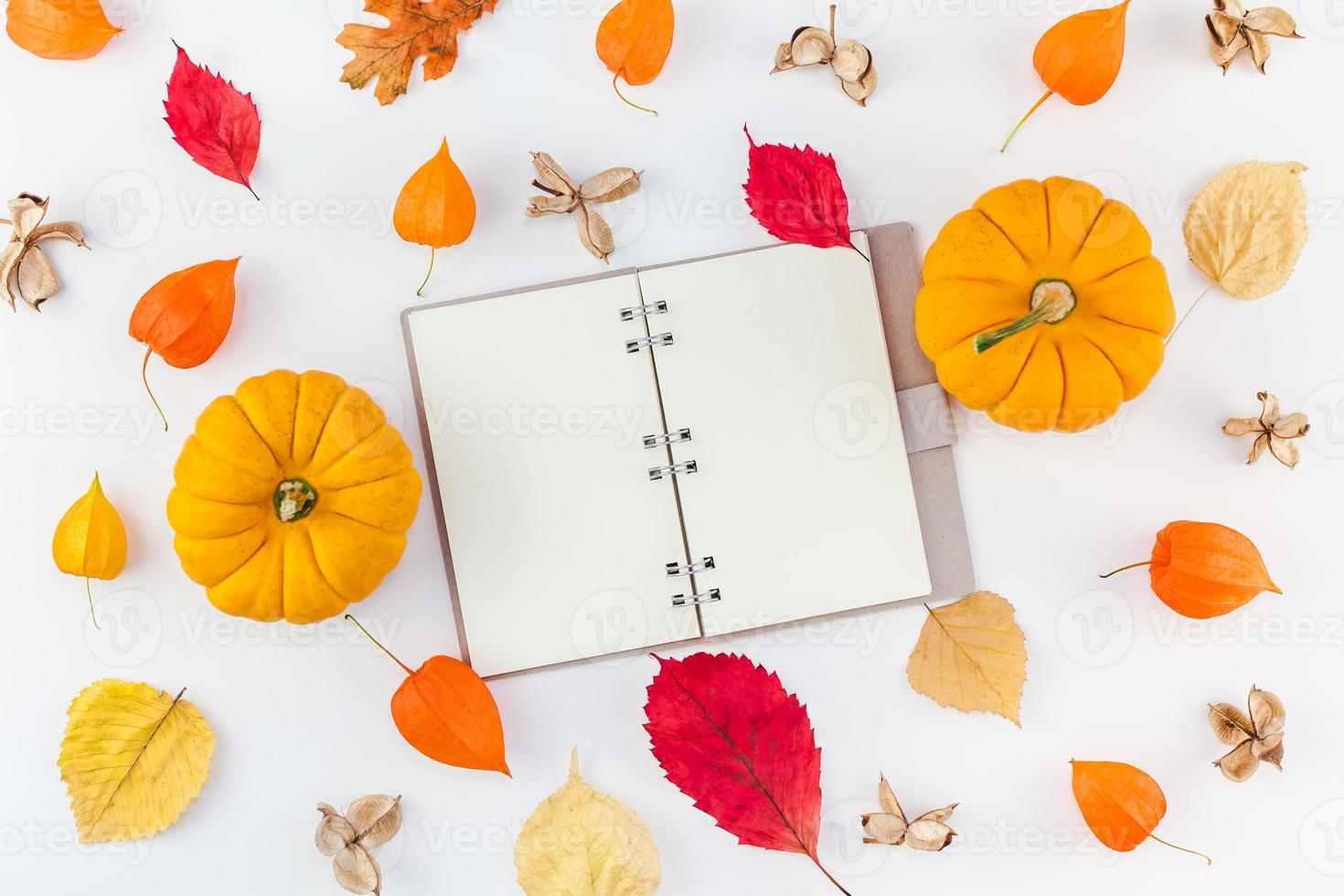 taccuino modello zucche secco fiori e le foglie foto