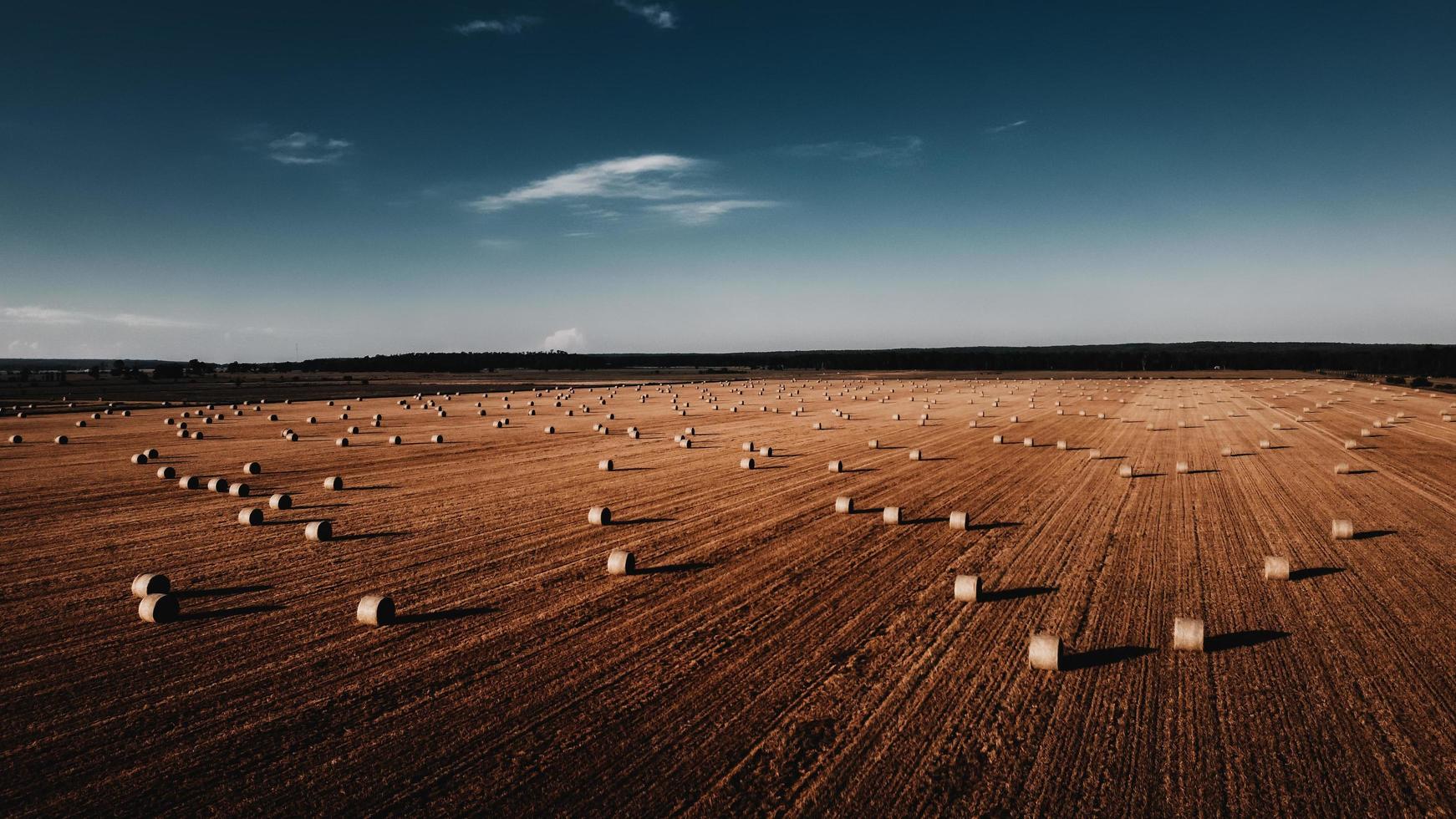 campo di erba marrone sotto il cielo blu durante il giorno foto