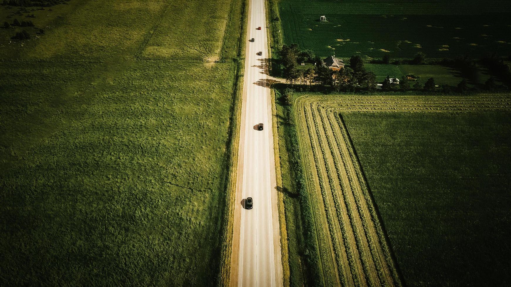 vista aerea del campo di erba verde foto