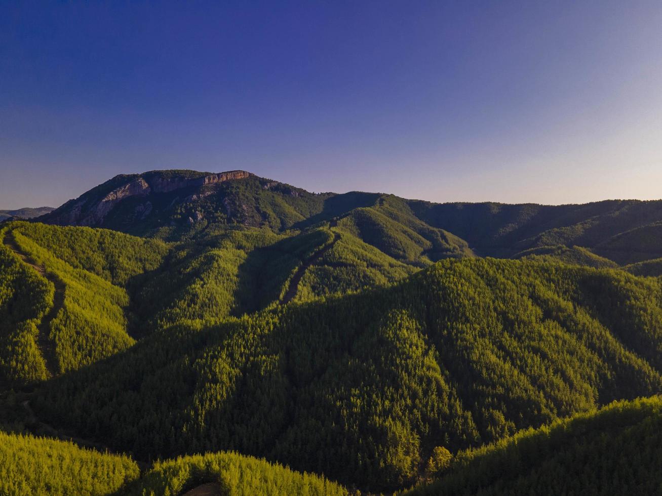 sorprendente valle e foresta Visualizza a partire dal il aria foto