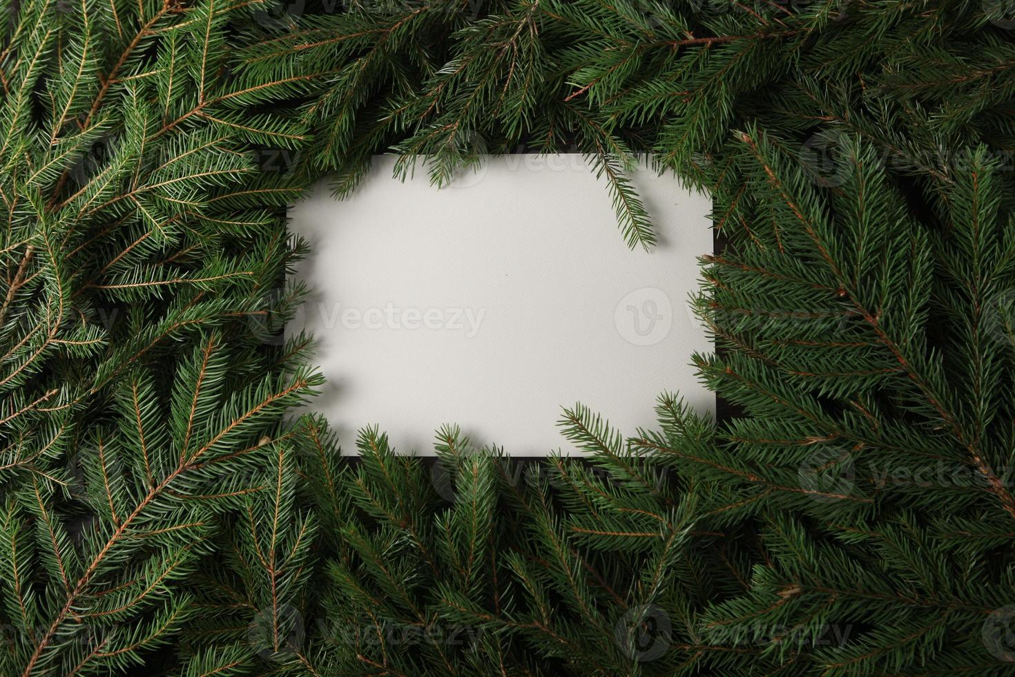 nuovo anni vigilia sfondo con abete ramo e coni. Natale e nuovo anno vacanze composizione di pino albero rami. foto