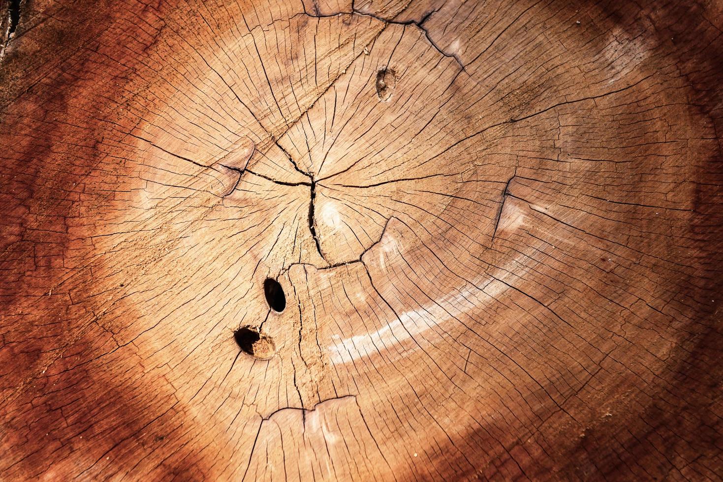 modello astratto cerchio di legname tagliato foto