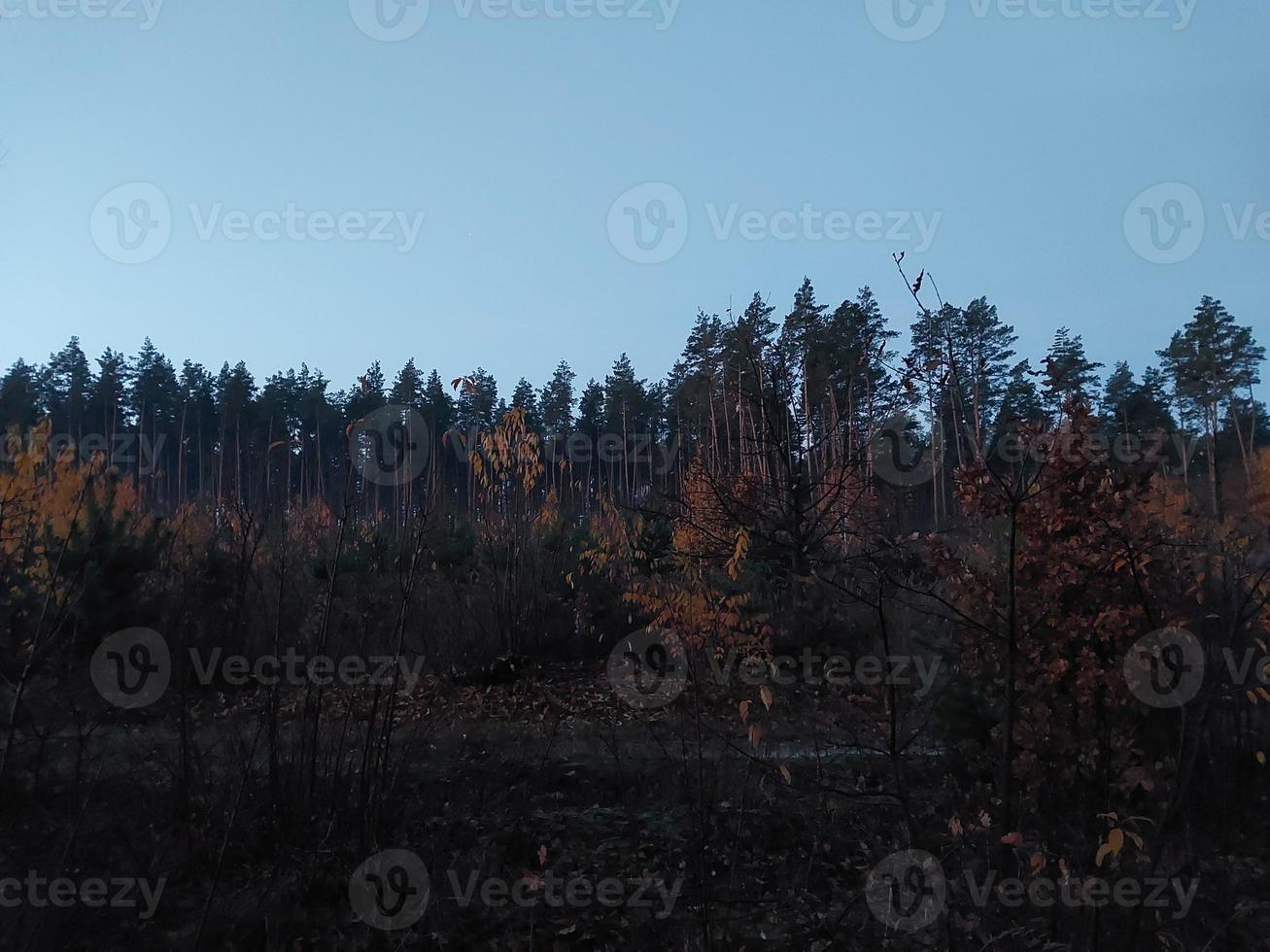 mattina e notte panorama di alba foto