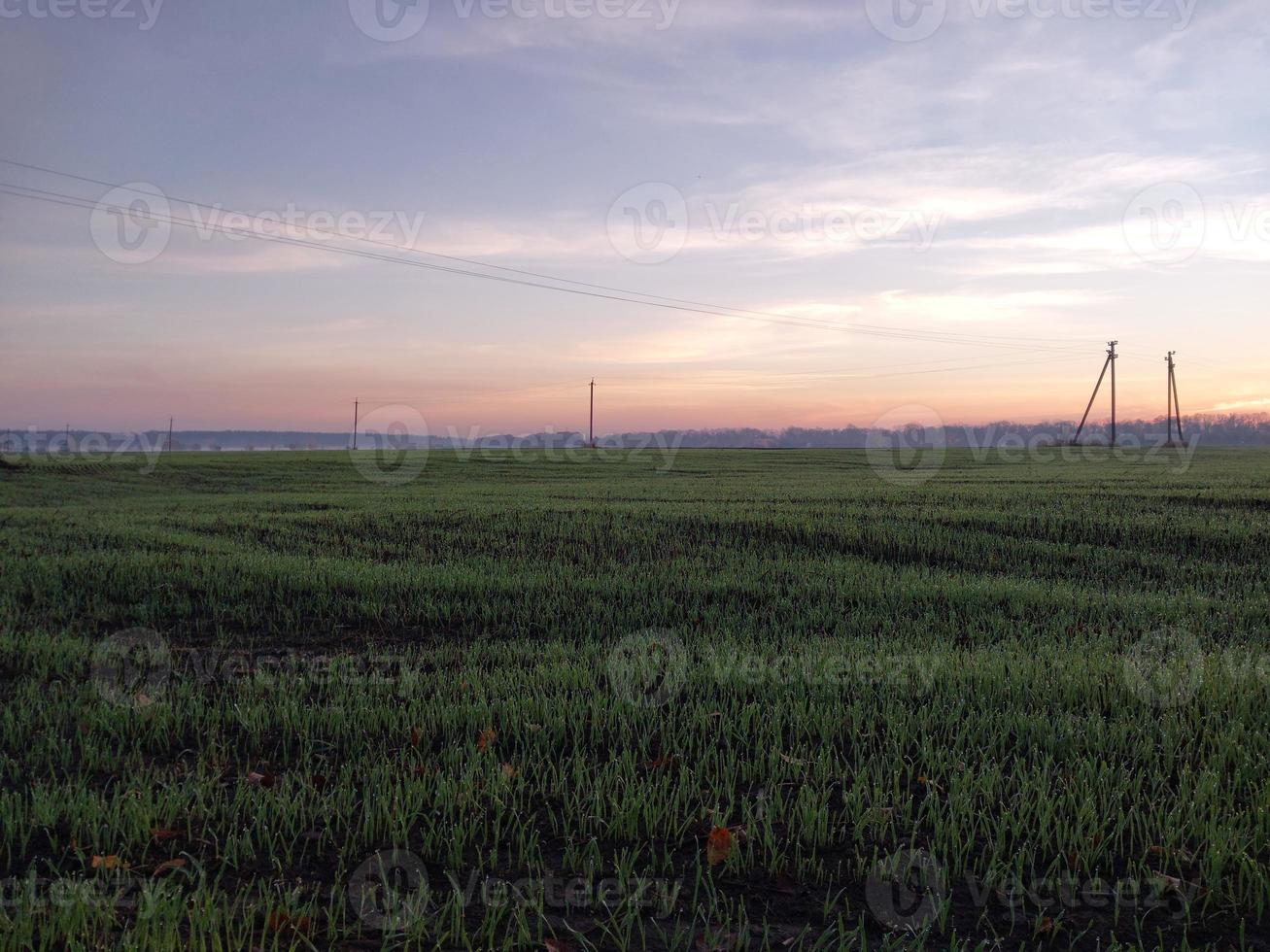 mattina e notte panorama di alba foto