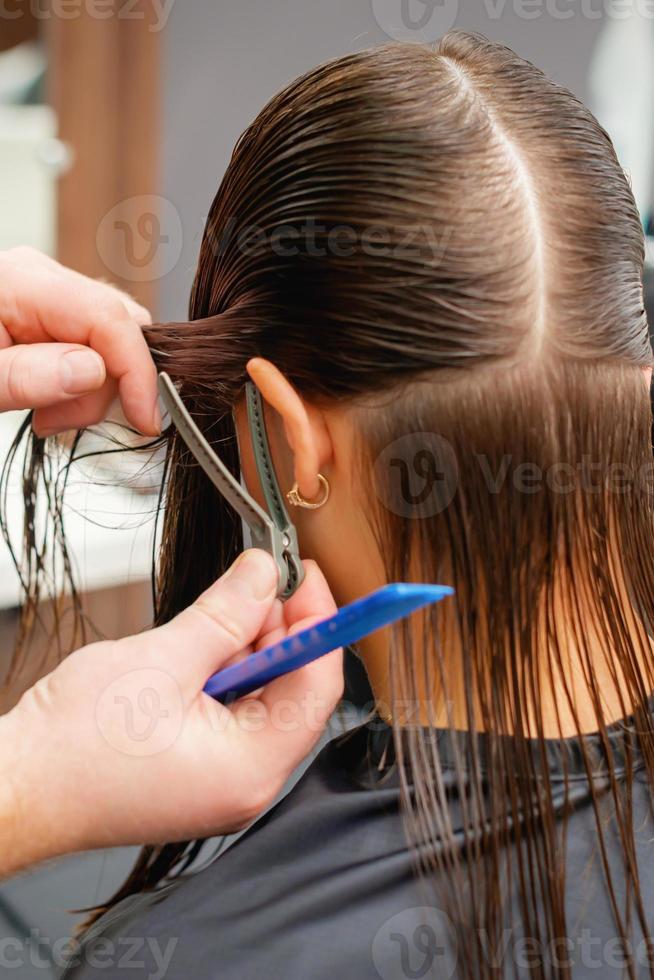 parrucchiere pettini capelli di giovane donna foto