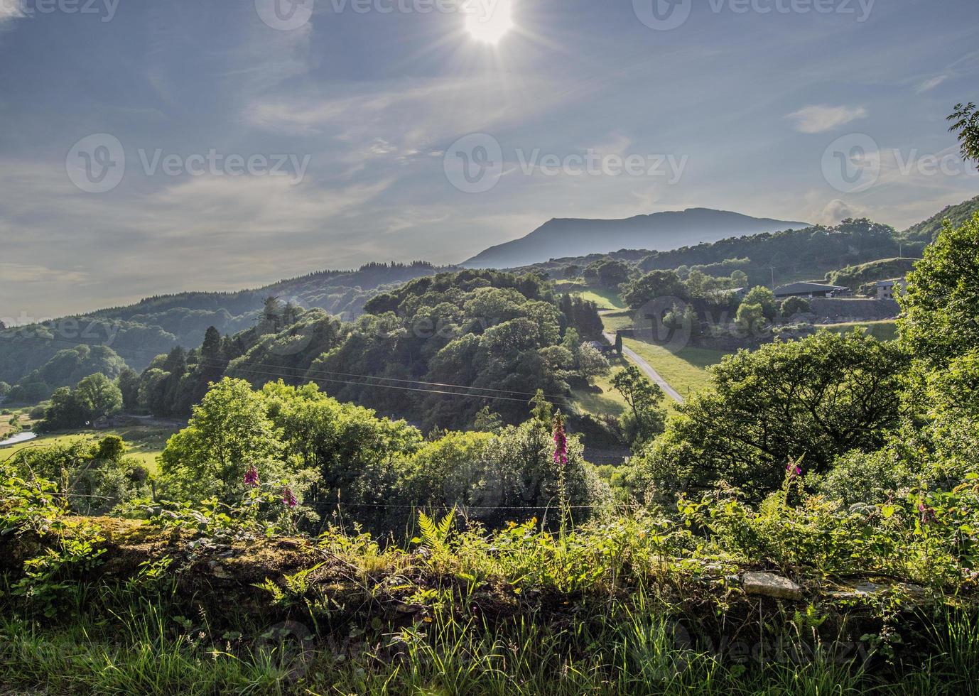 estate paesaggio colline e orizzonte foto