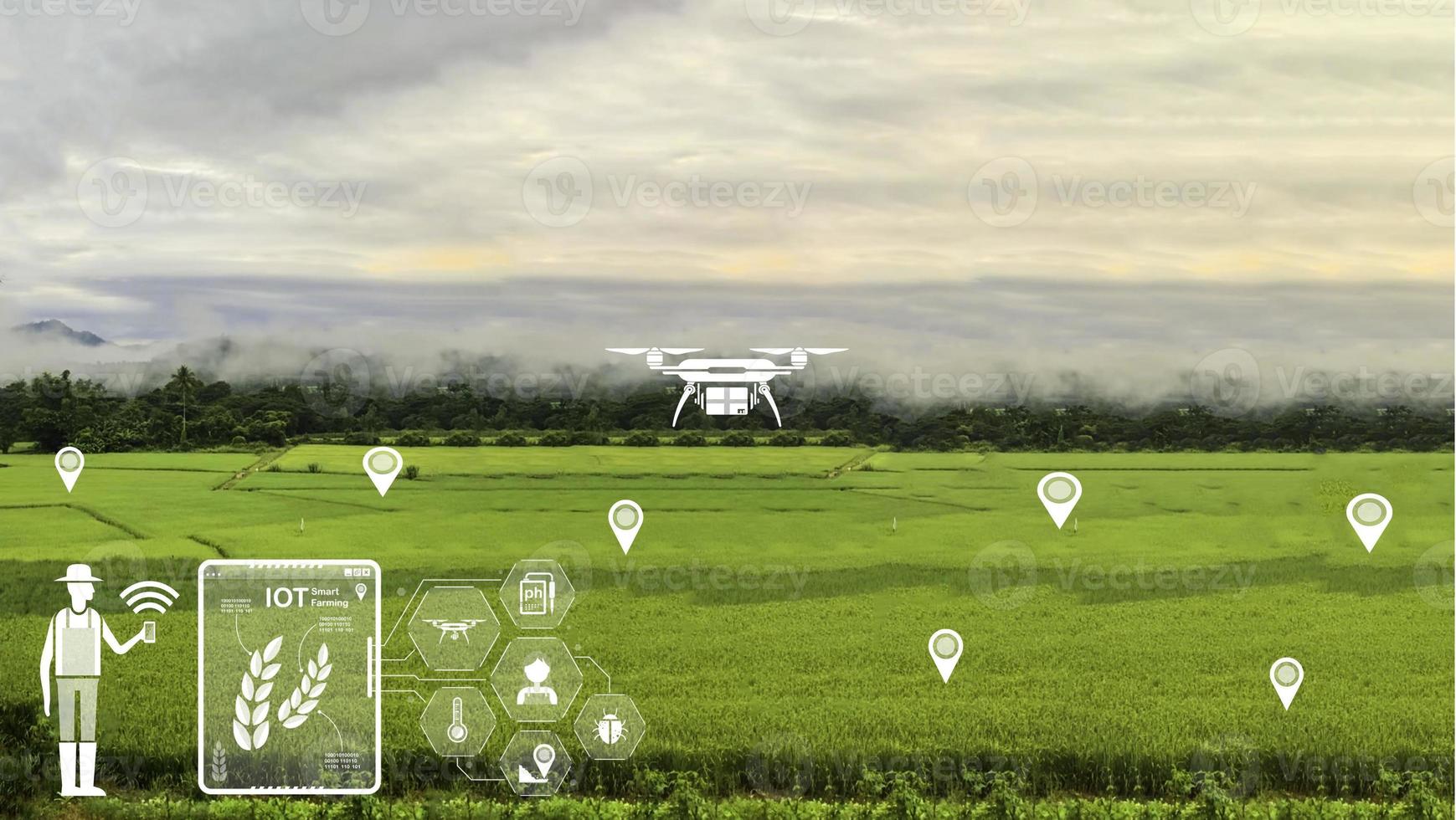 agricoltura fuco volare per spruzzato fertilizzante su il riso campi. industriale agricoltura e inteligente agricoltura foto