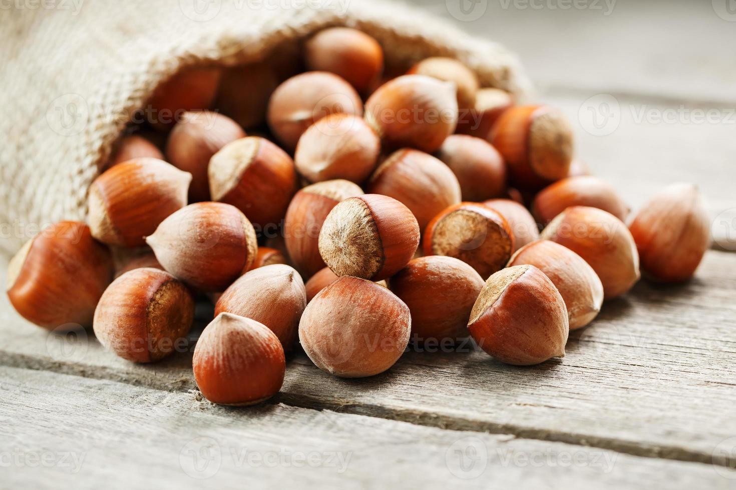 Nocciole nel un' coperchio, versato su a partire dal un' Borsa a partire dal tela ruvida su un' grigio di legno tavolo foto