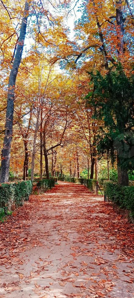 autunno cascate paesaggio foto