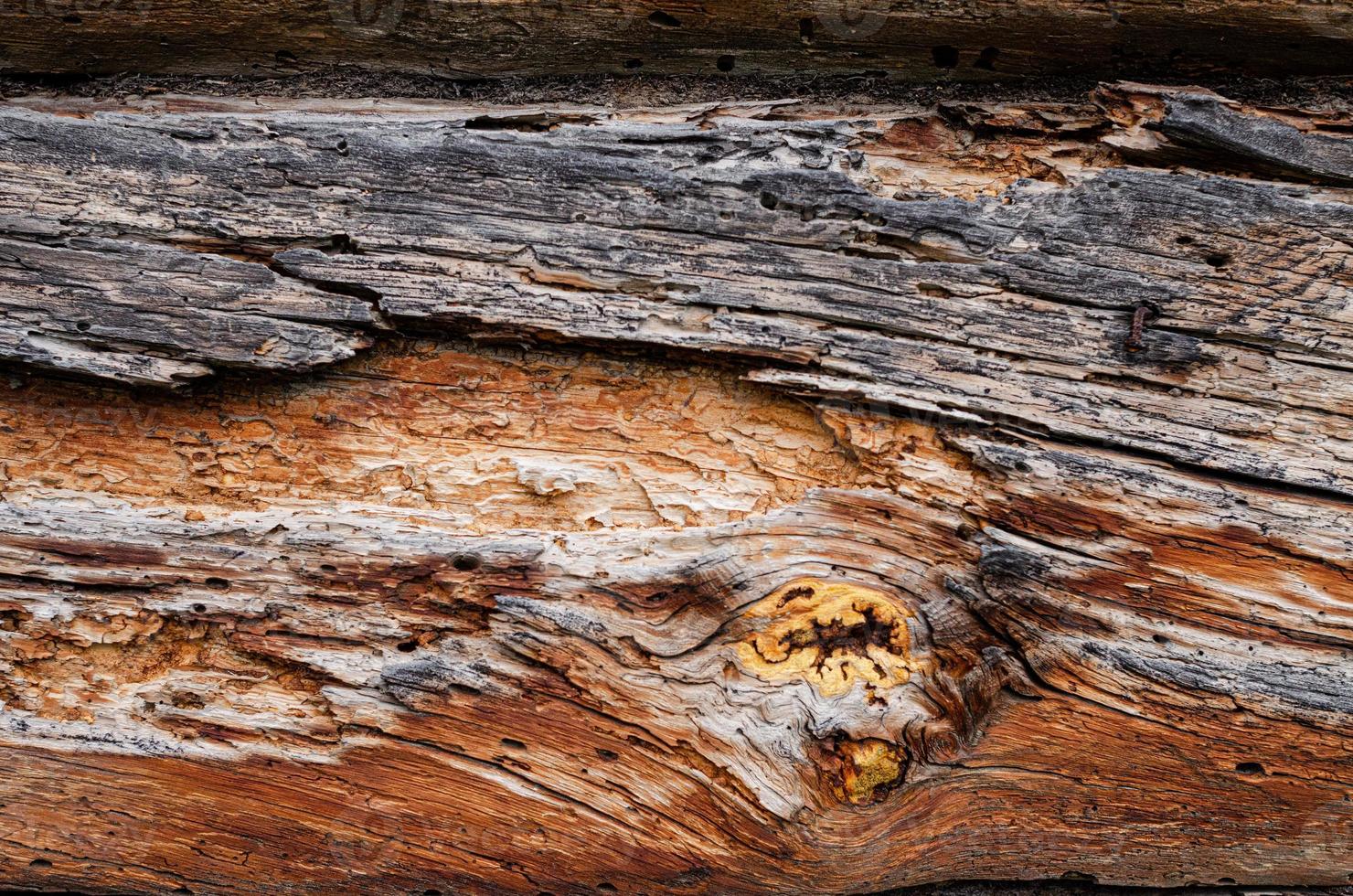 di legno sfondo modello per mestieri o astratto arte struttura foto