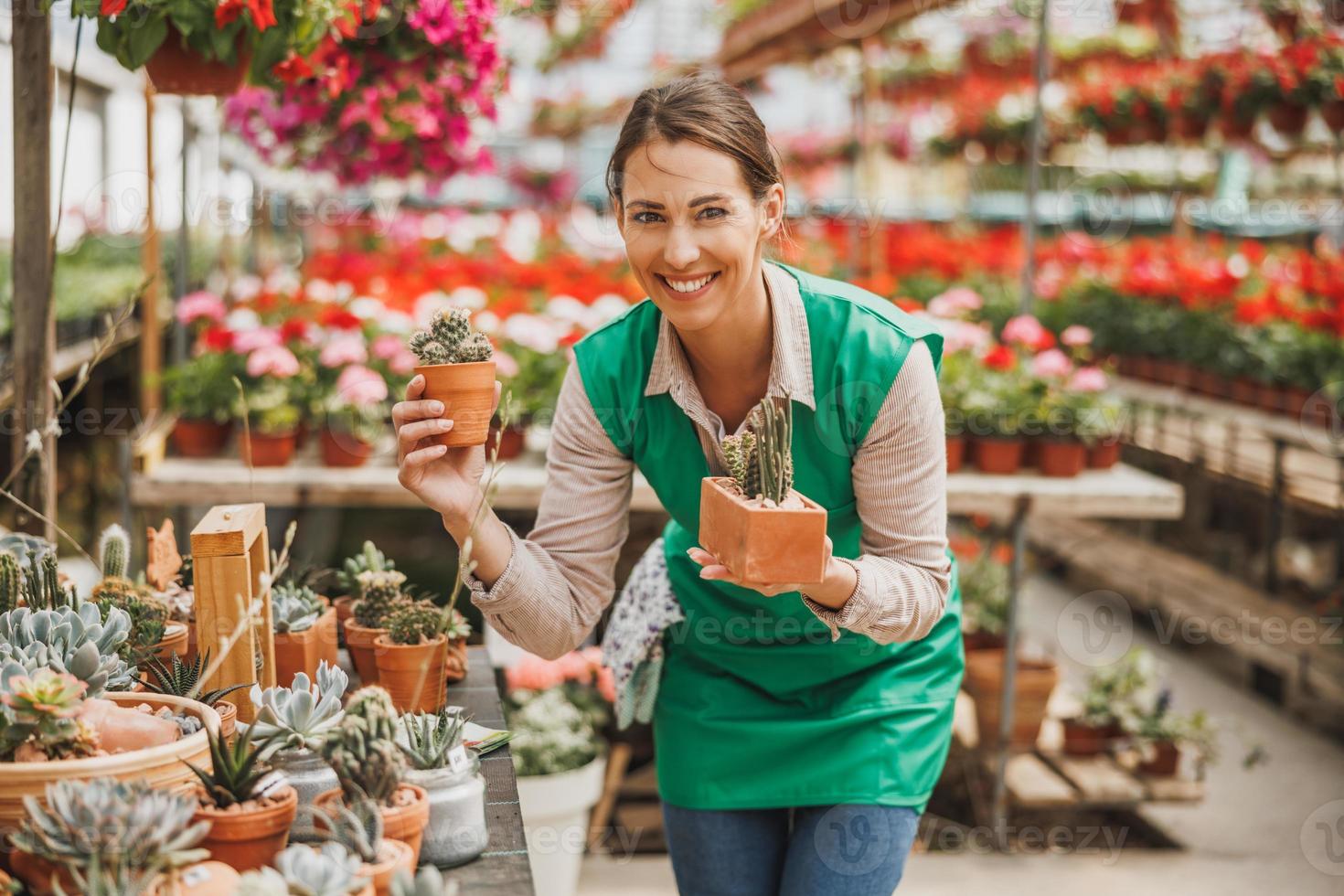 fioraio donna cura di succulento impianti nel un' giardino centro foto