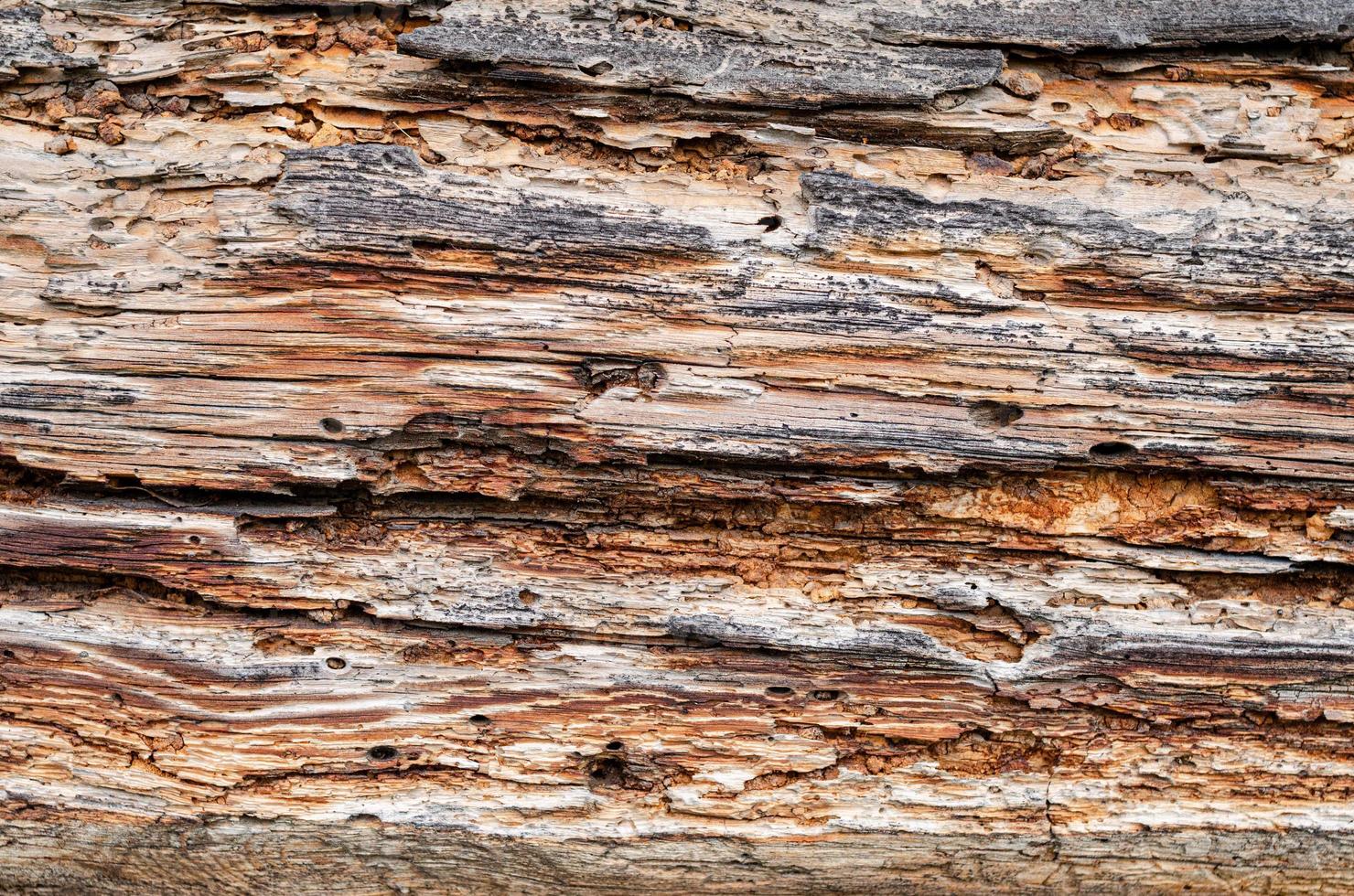 di legno sfondo modello per mestieri o astratto arte struttura foto