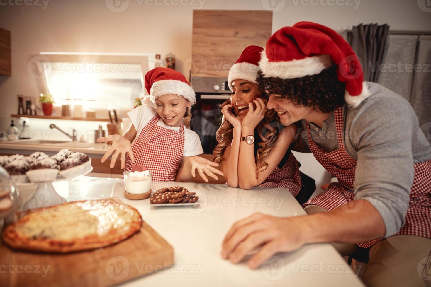 prendere il domestico pranzo foto