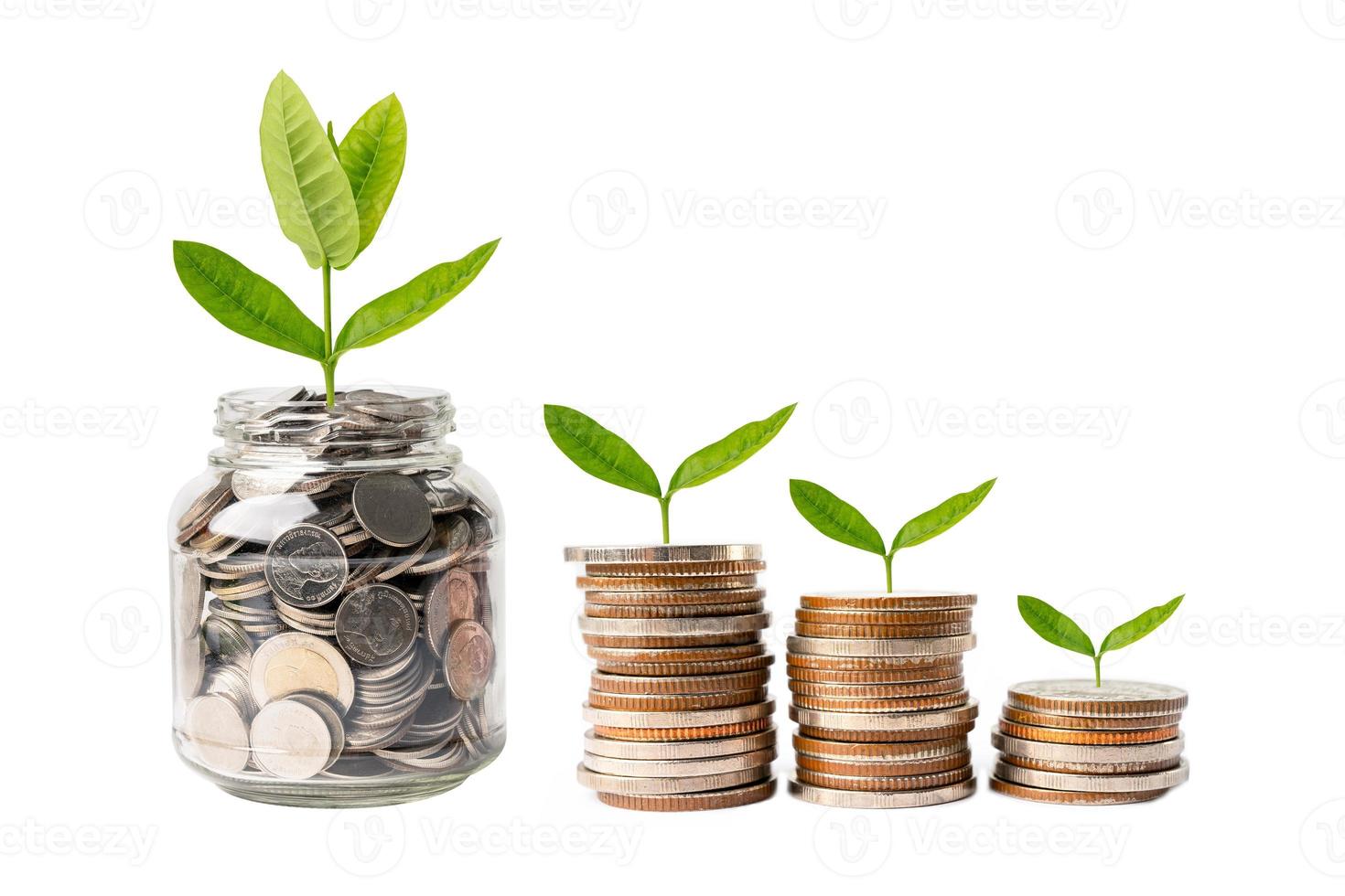albero foglia su Salva i soldi monete, attività commerciale finanza Salvataggio bancario investimento concetto. foto