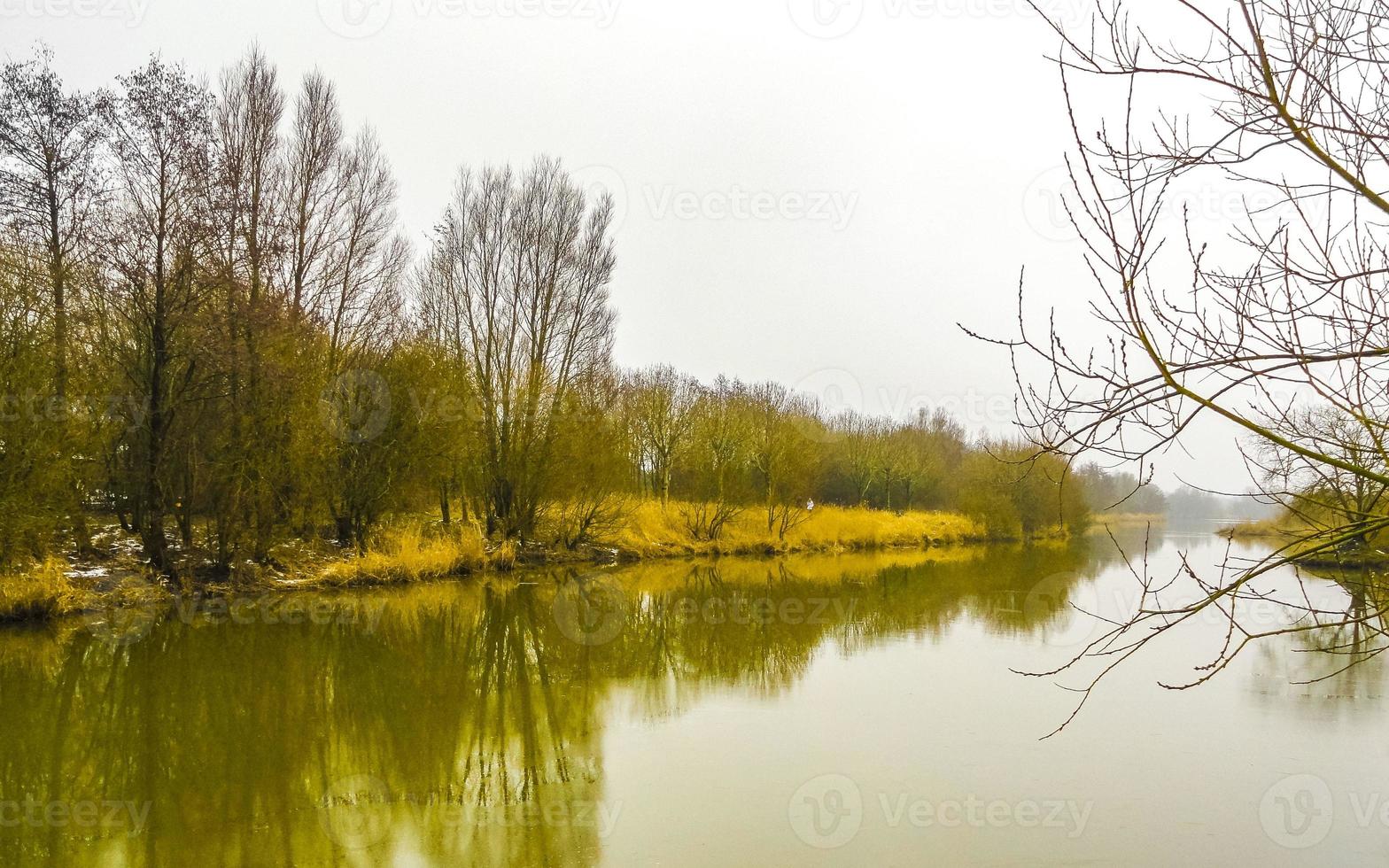 congelato fiume ruscello stagno lago freddo natura foresta ambiente Germania. foto