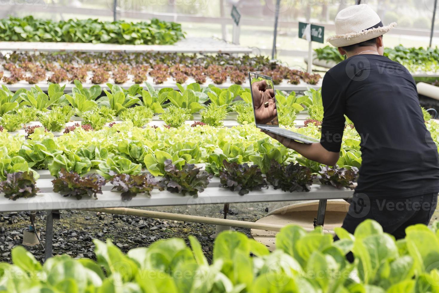 femmina ricercatori esaminare verdure per capsula Riempimento. cibo sperimentare idee per un' meglio stile di vita. foto