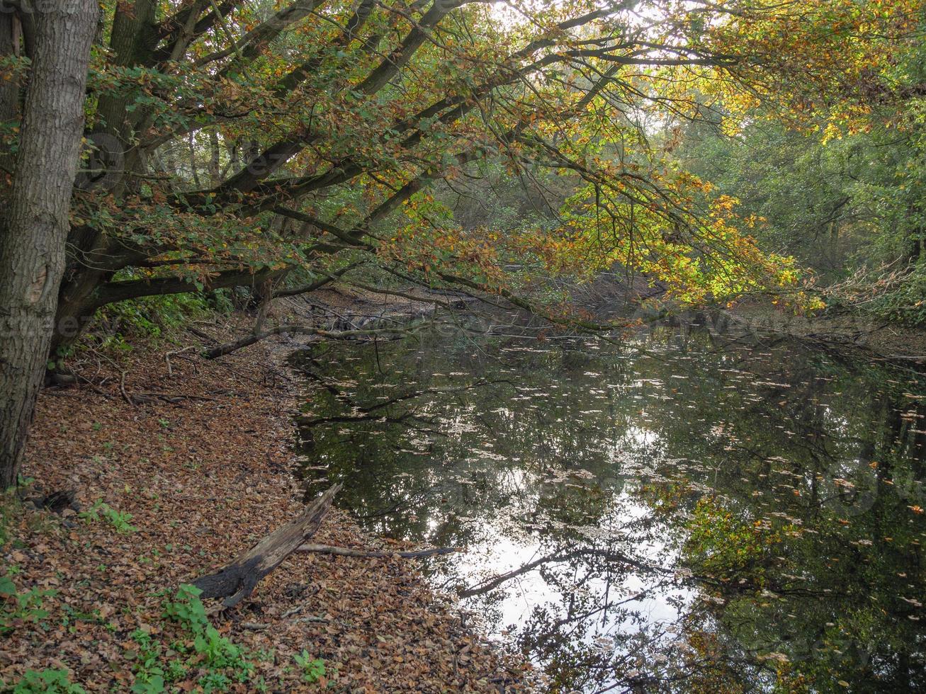 il vechte fiume nel Germania foto