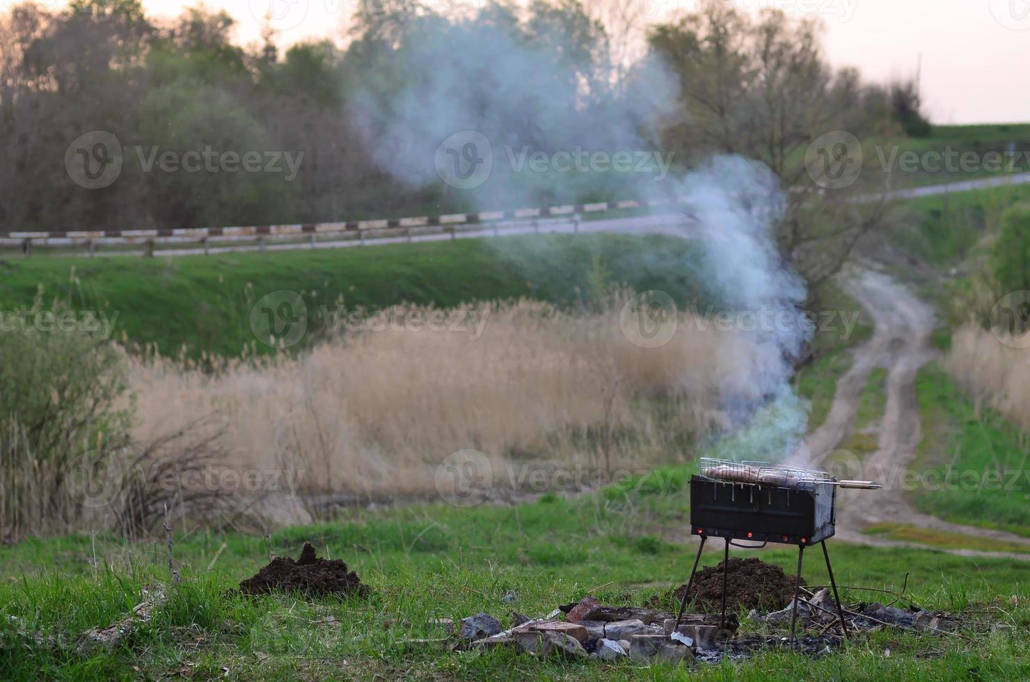 shish kebab a partire dal pollo Ali siamo fritte nel il campo. un' classico barbecue nel il Aperto aria. il processi di frittura carne su carbone foto