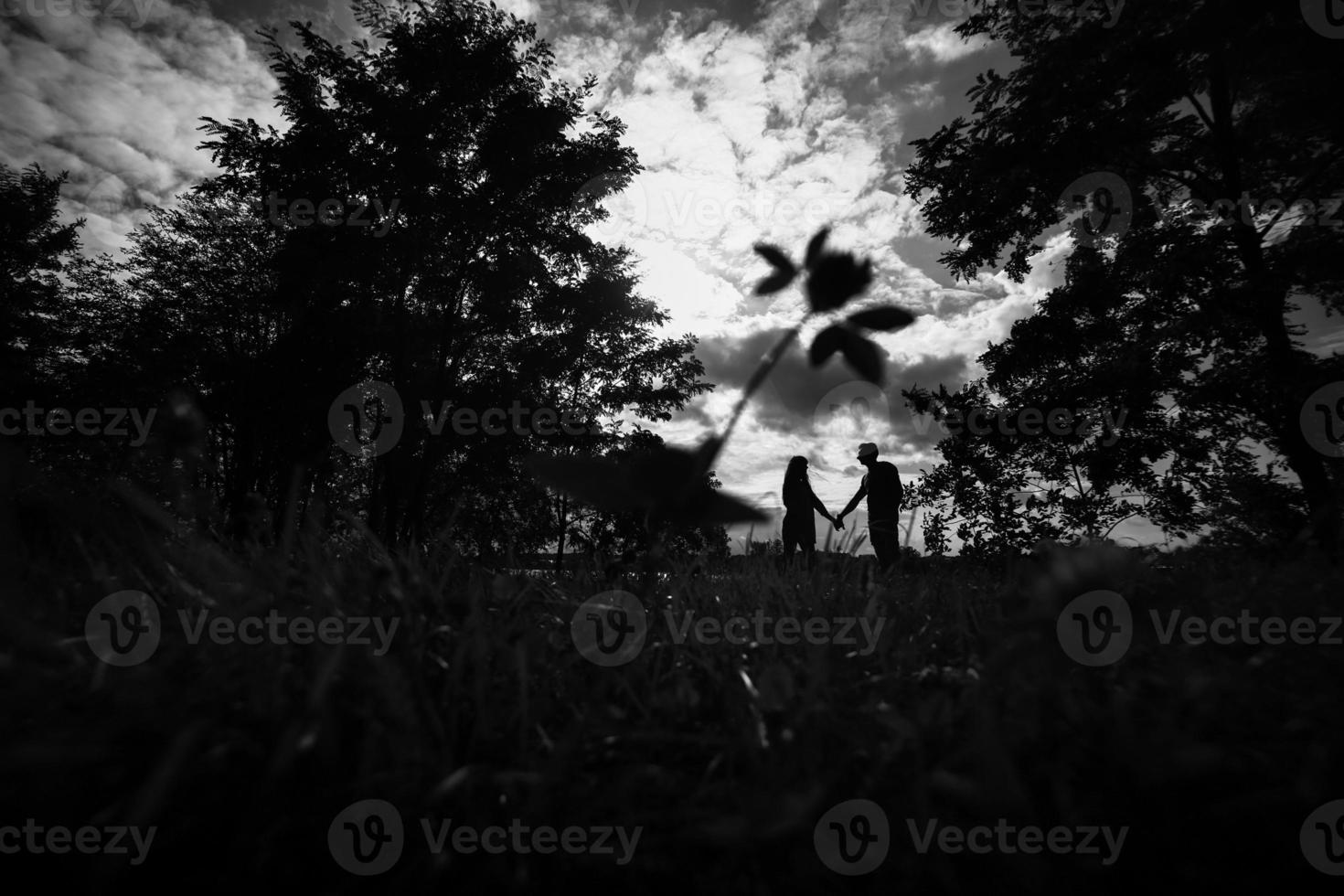 nero e bianca foto. silhouette di amorevole giovane coppia è avendo divertimento all'aperto. amore e tenerezza, datazione, romanza, famiglia concetto foto