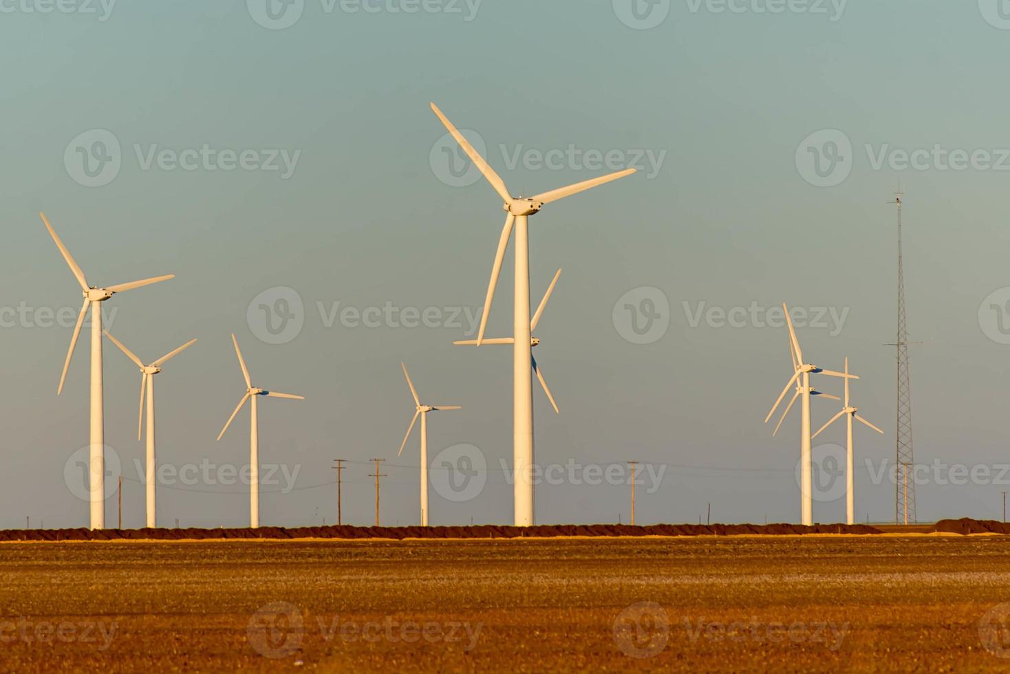 energie rinnovabili - turbine eoliche con campi di cotone foto