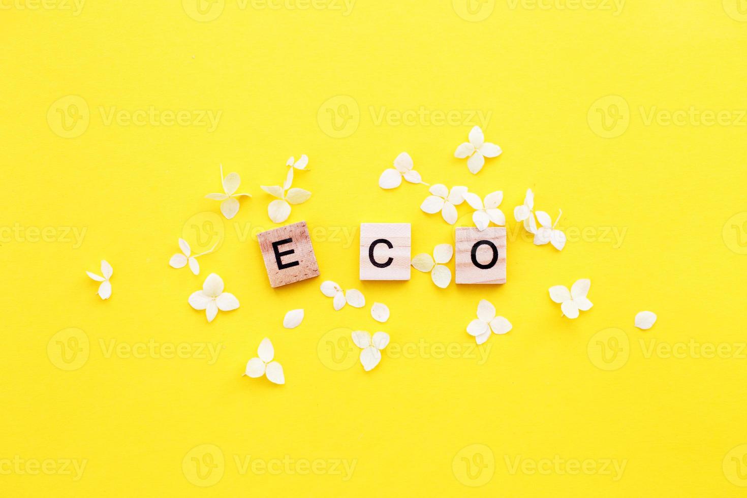 eco parola scritto a partire dal un' di legno cubi con lettere su giallo sfondo con un' petali di un' ortensia fiori foto
