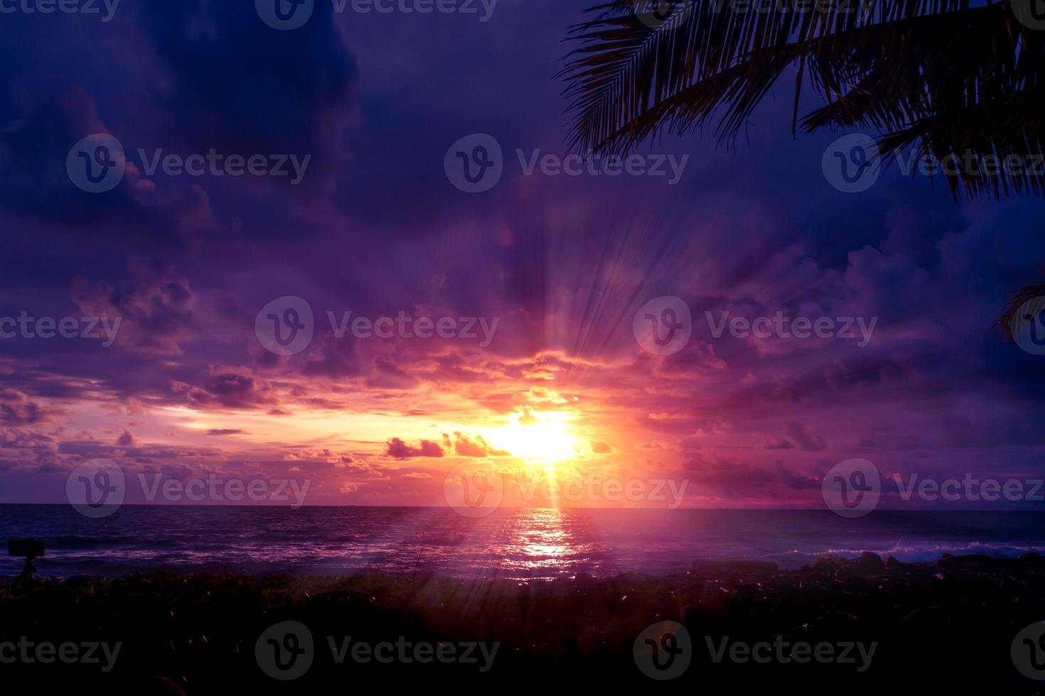 tropicale tramonto a mare con silhouette di palma albero e i raggi del sole foto