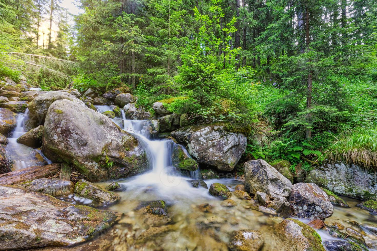 bellissimo vicino su ecologia natura paesaggio con montagna torrente. astratto lungo esposizione foresta ruscello con pino alberi e verde fogliame sfondo. autunno minuscolo cascata rocce, sorprendente soleggiato natura foto