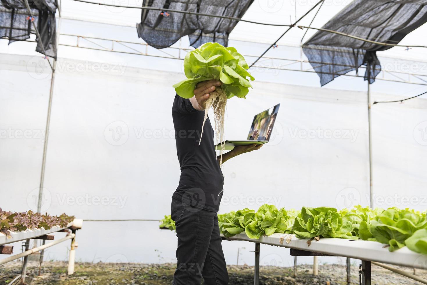 femmina ricercatori esaminare verdure per capsula Riempimento. cibo sperimentare idee per un' meglio stile di vita selettivo messa a fuoco, copia spazio. foto