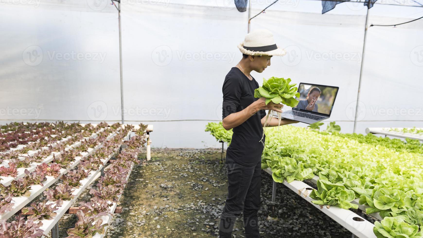 femmina ricercatori esaminare verdure per capsula Riempimento. cibo sperimentare idee per un' meglio stile di vita selettivo messa a fuoco, copia spazio. foto