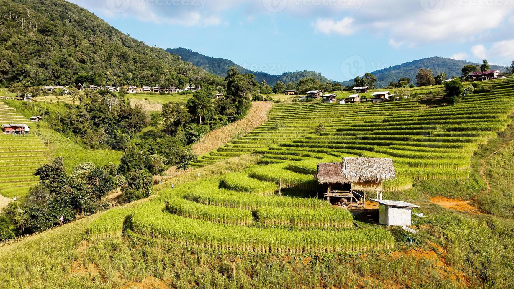 aereo Visualizza di riso terrazza a bandire papà bong piang nel chiang Mai Tailandia foto