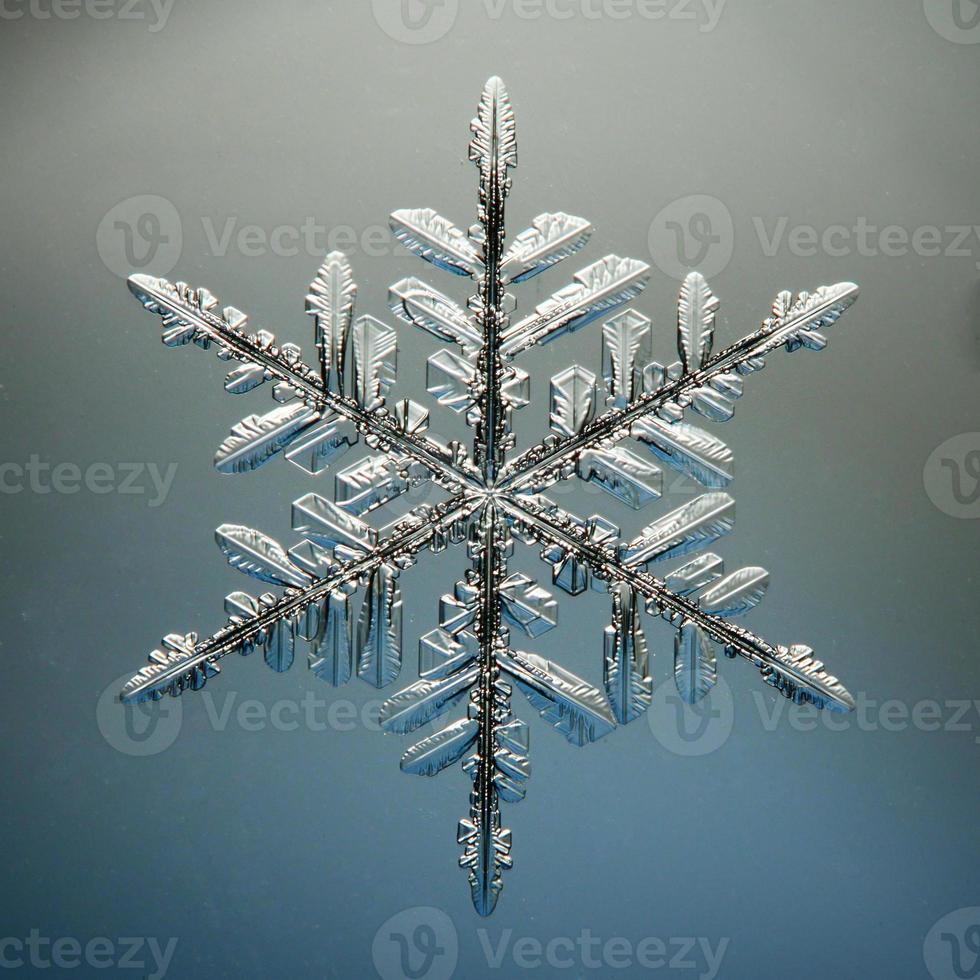 cristalli di ghiaccio fiocco di neve macro presenti naturali foto