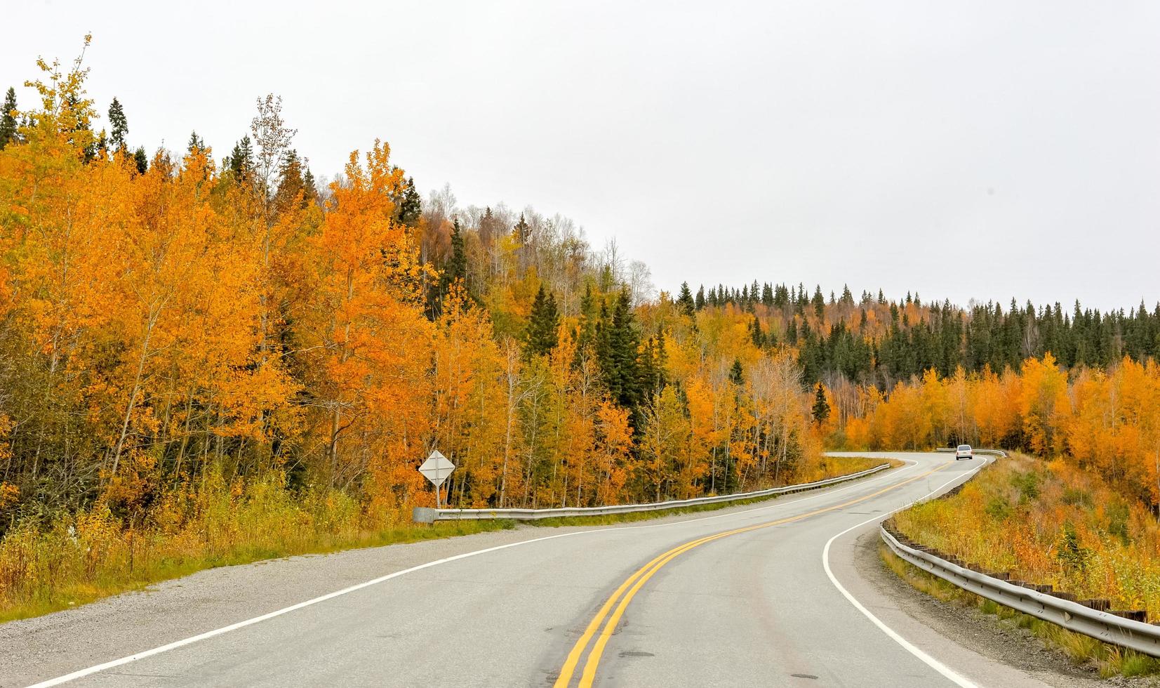 strada con alberi di arancio foto