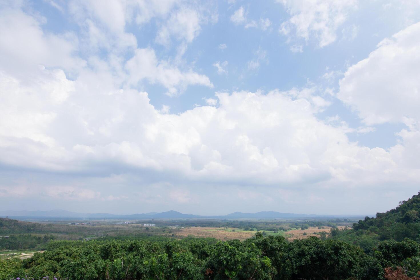 paesaggio forestale rurale foto