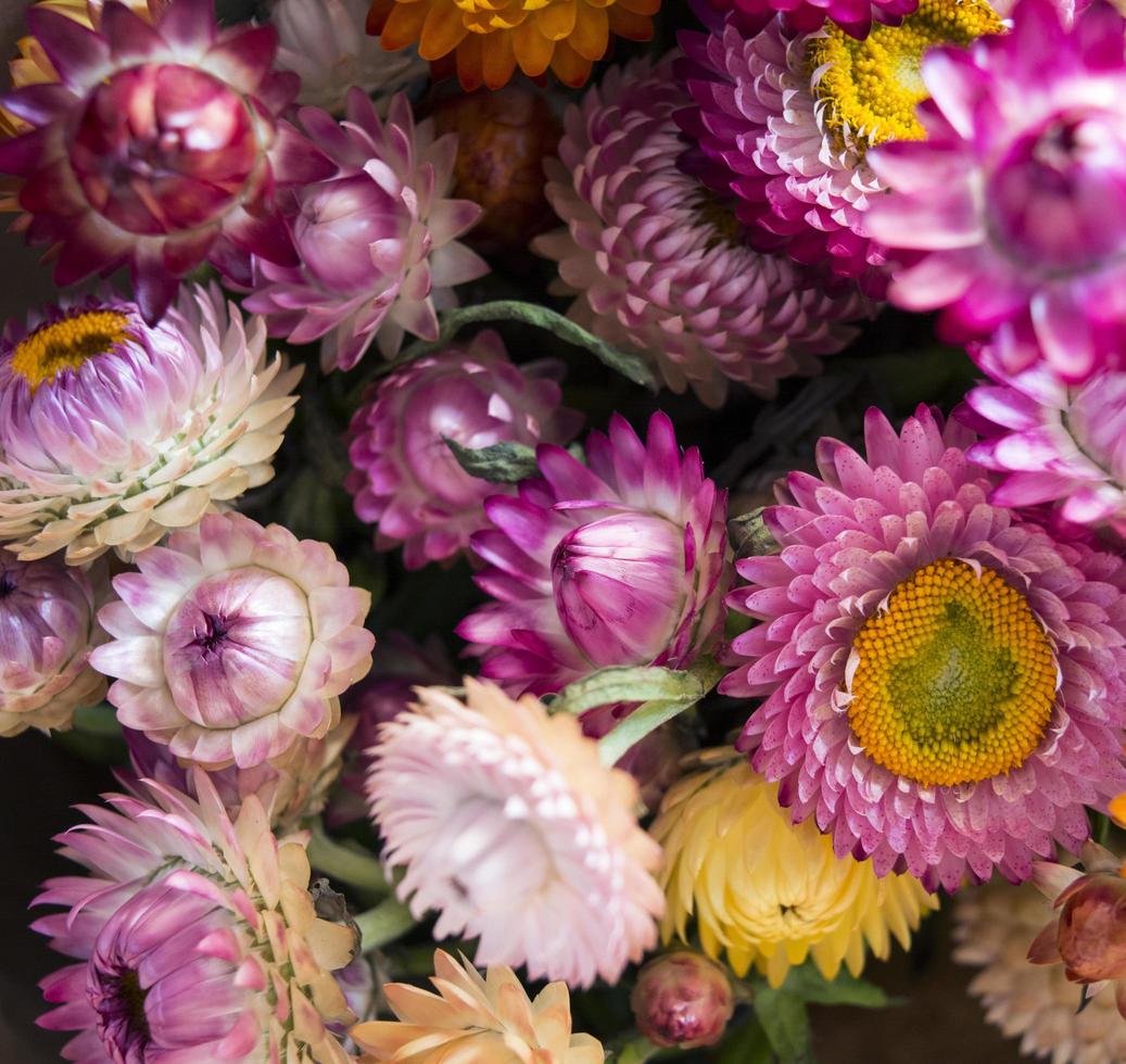 disposizione dei fiori rosa e gialli foto