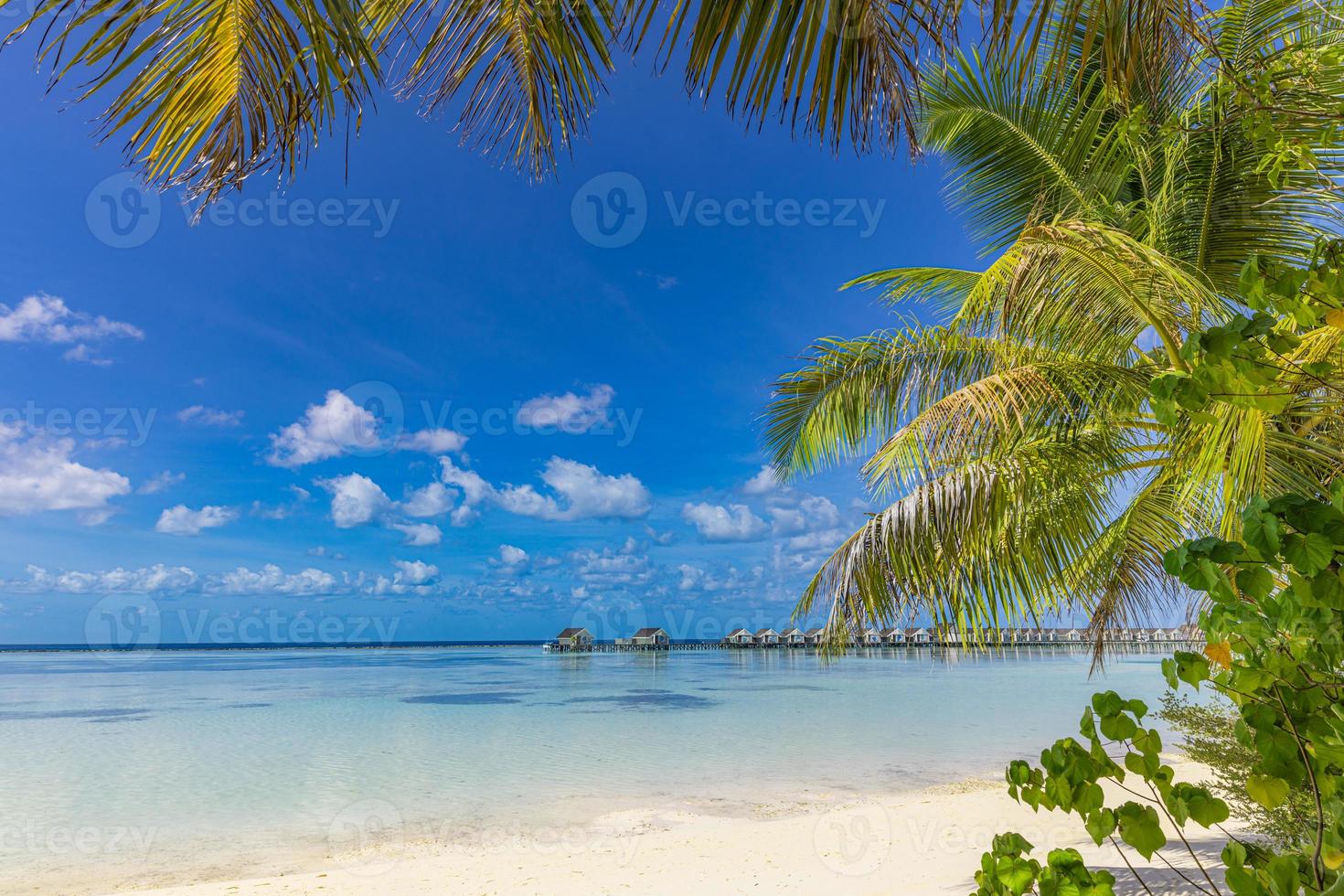 Maldive isola spiaggia. tropicale paesaggio bianca sabbia con palma albero le foglie. lusso viaggio vacanza destinazione. esotico spiaggia paesaggio. sorprendente natura, relax, libertà, tranquillo natura sfondo foto