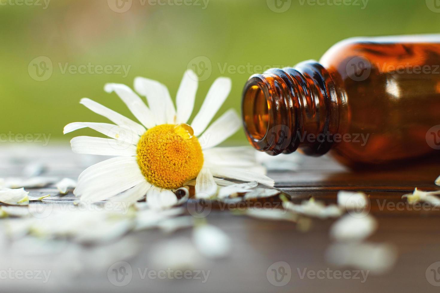 camomilla petali con essenziale olio Marrone bicchiere bottiglia. Salute aromaterapia, terme, bellezza concetto. foto