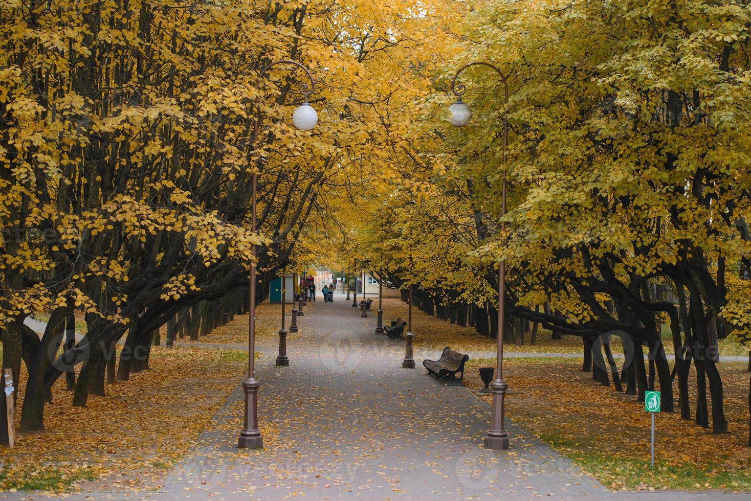 Minsk, bielorussia. ottobre 2020. centrale Entrata, vicolo per il botanico giardino nel autunno foto