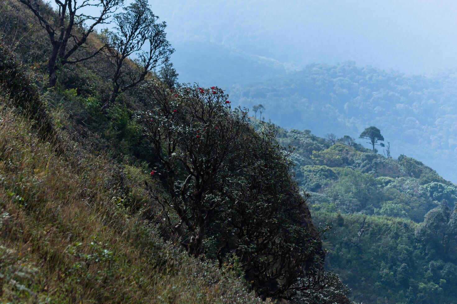 paesaggio a kew mae pan, thailandia foto