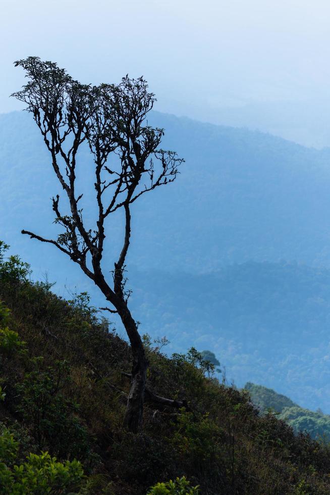 paesaggio a kew mae pan, thailandia foto