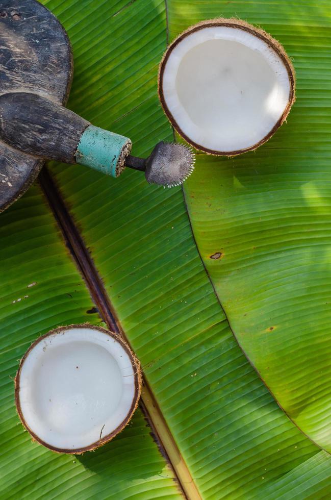 Noce di cocco grattugia e fresco biologico Noce di cocco foto