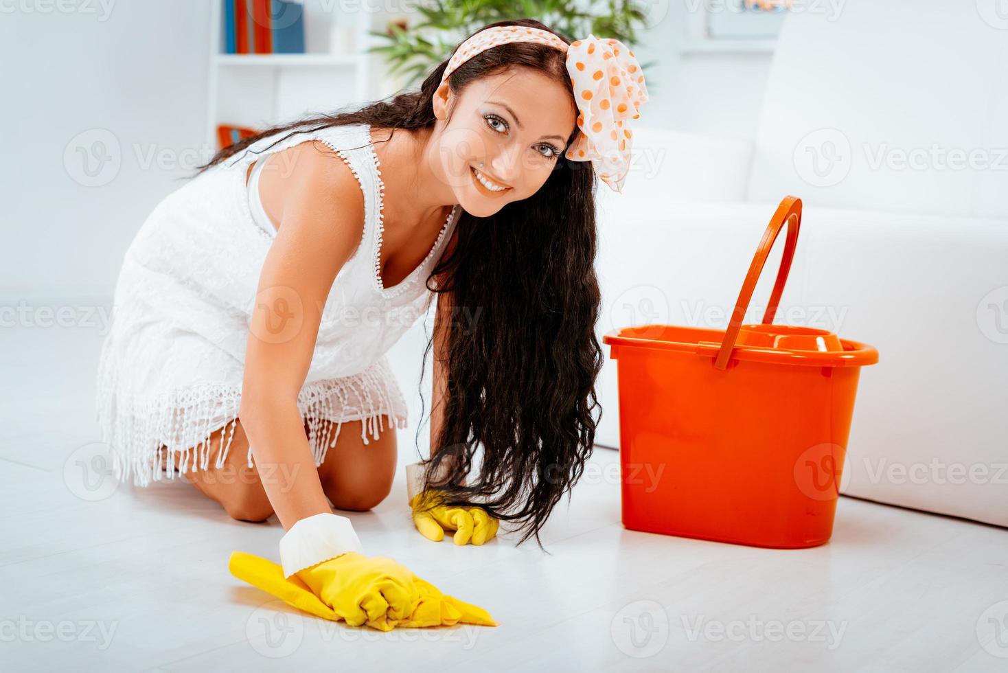 pulizia casa Visualizza foto