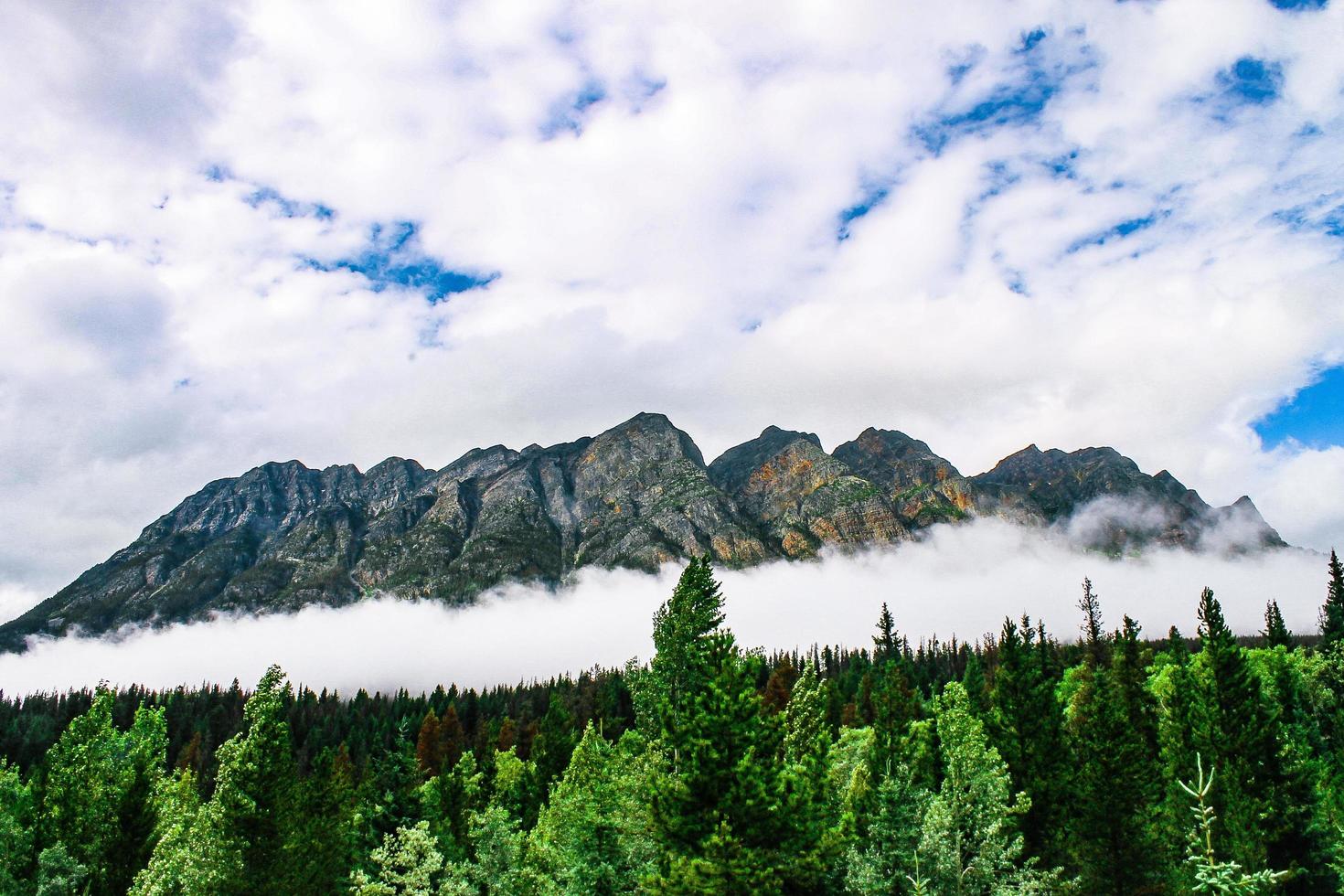 vista panoramica di montagne e foreste foto